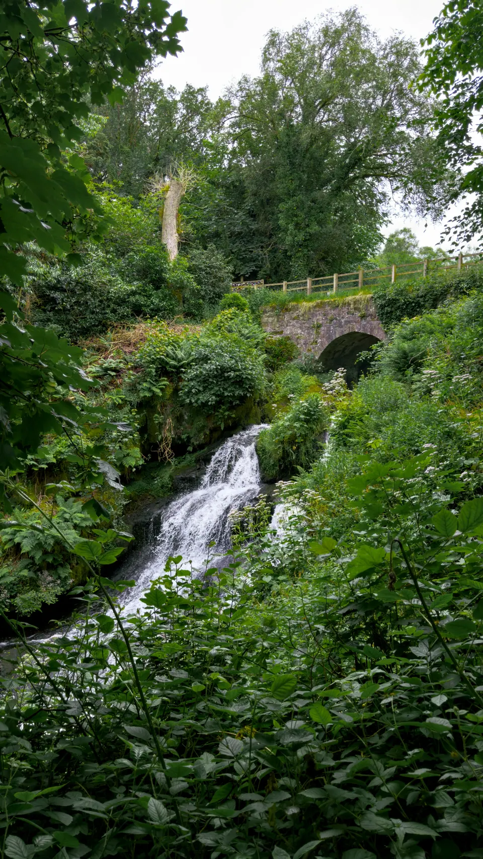 A narrow waterfall beneath a small stone bridge and trees