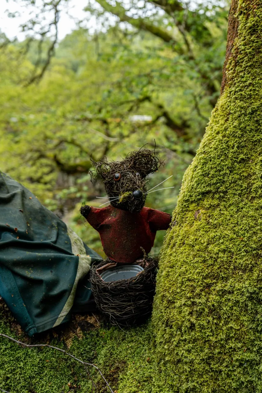 A person rests among trees beside a moss-covered trunk