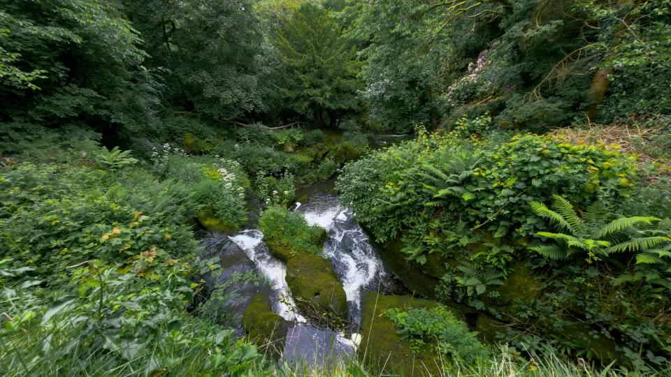 A waterfall cascades through dense green vegetation in a rocky gorge