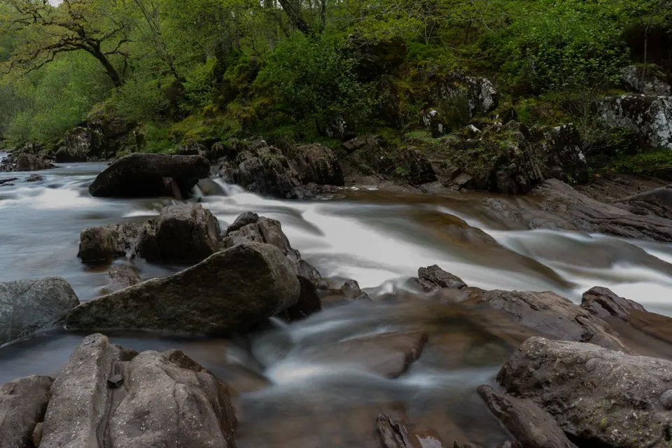 White water divides around boulders below a wooded riverbank