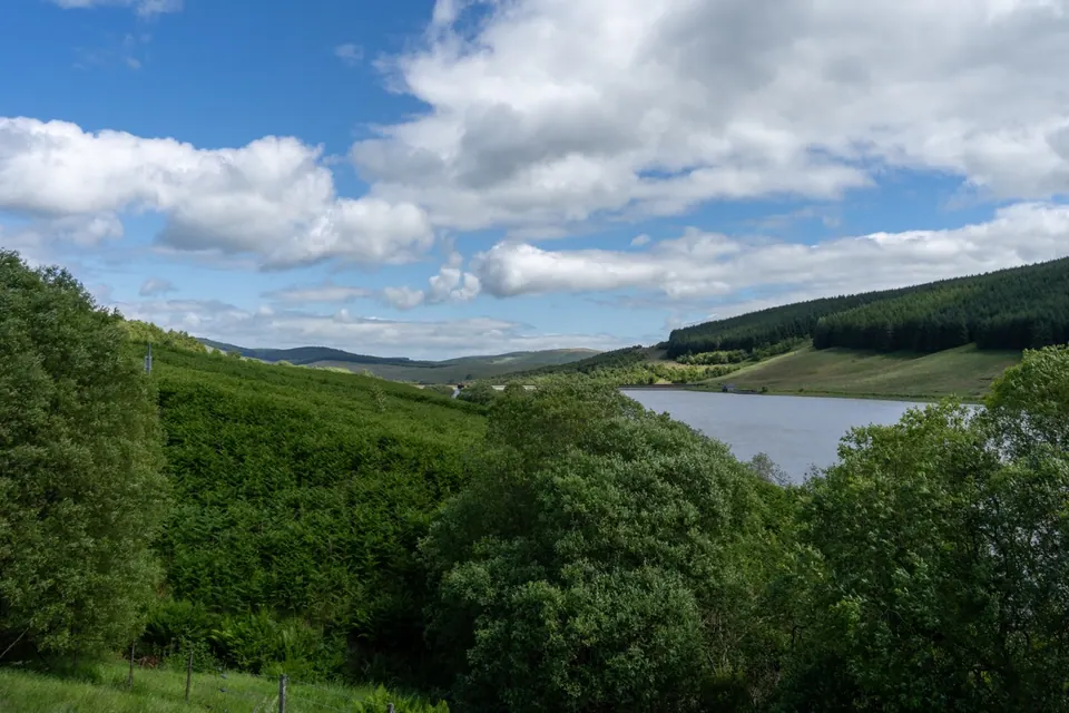 A reservoir opens beyond dense trees under patches of blue sky