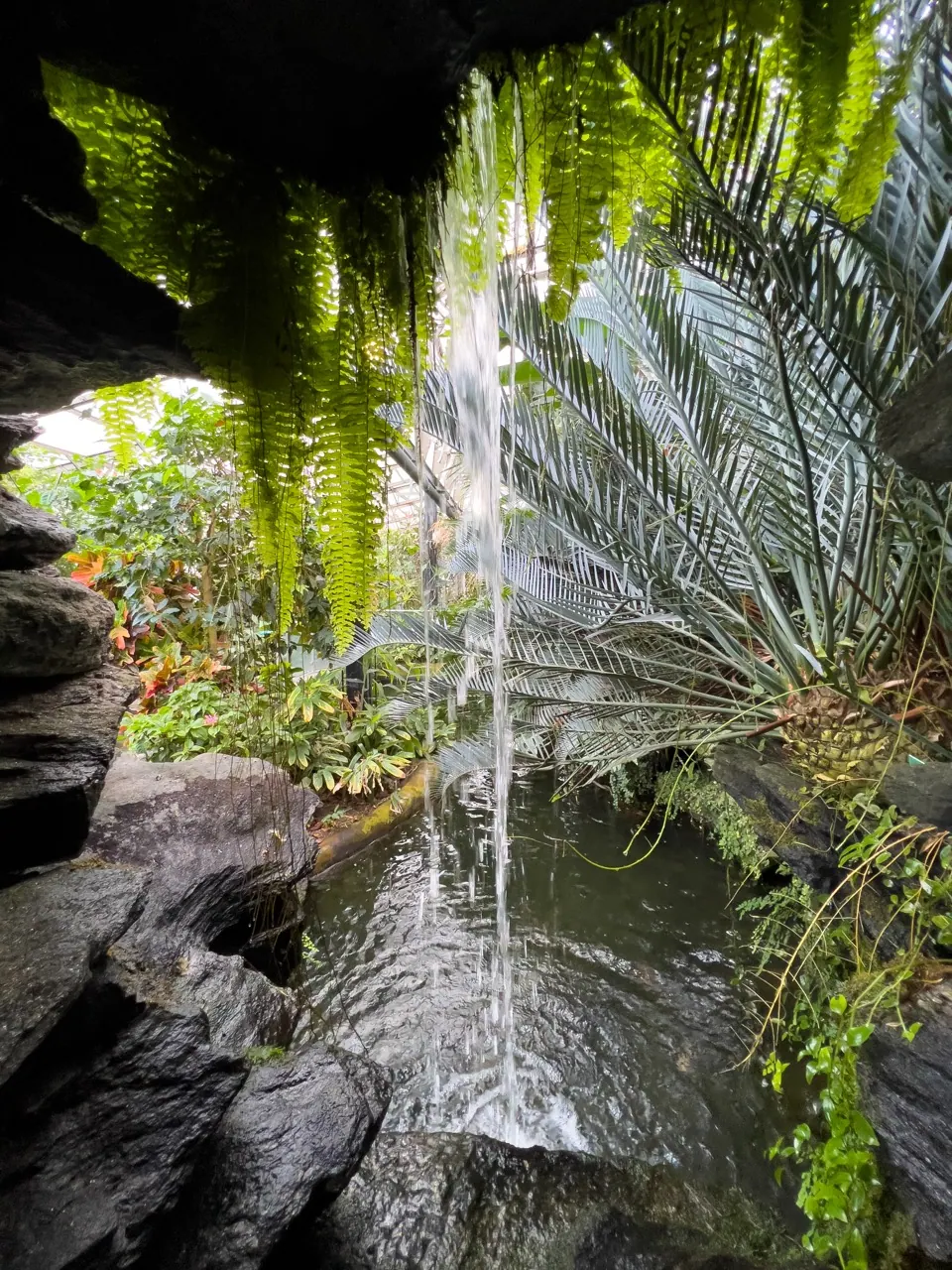 Looking out beneath a rocky overhang, past hanging moss and falling water
