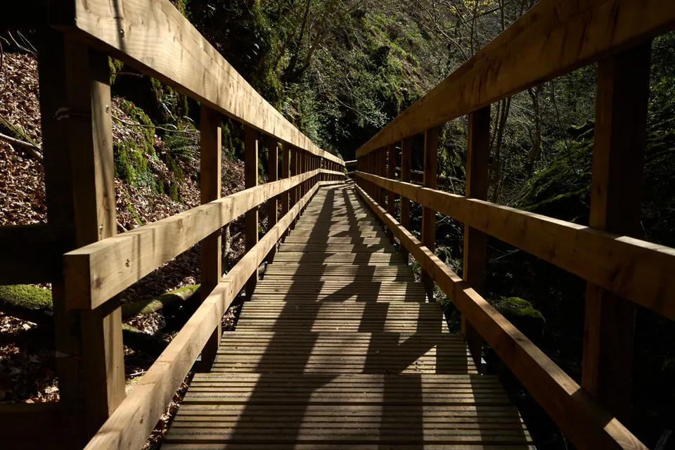 Sunlit wooden rails and their shadows converge along a footbridge through Dollar Glen.