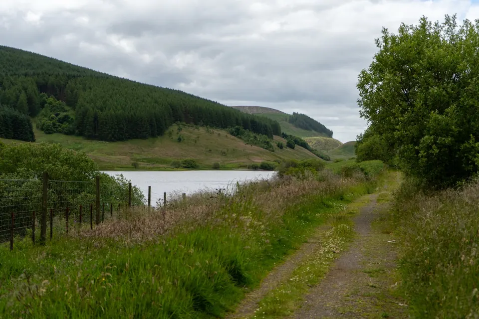 A narrow track follows the edge of a reservoir between trees and hills