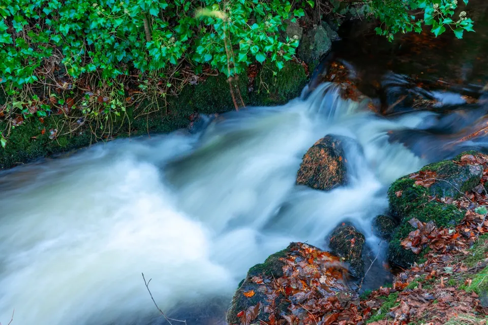 Long-exposure white water rushes around dark rocks and fallen leaves