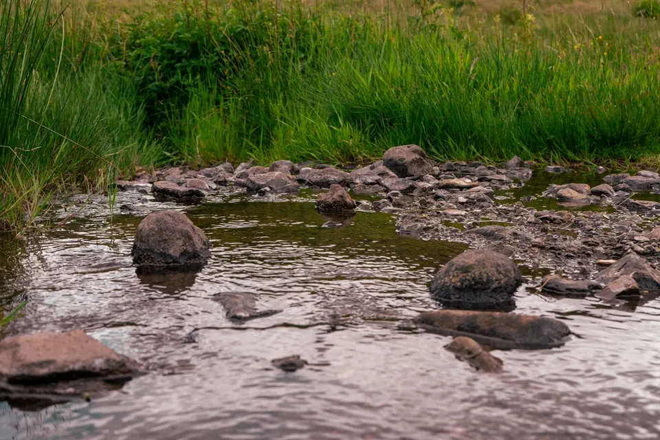 Shallow water runs over stones between grassy banks