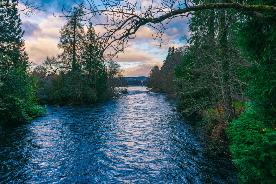 A river reflects evening light between trees, with a pale sunset beyond
