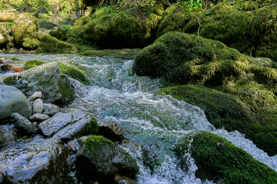 Clear water tumbles between rounded rocks covered in thick green moss.